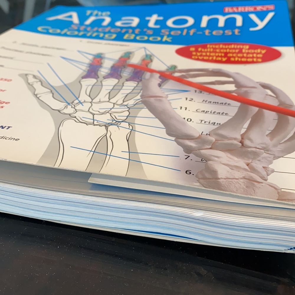 Anatomy practice book - Picture 13 of 13